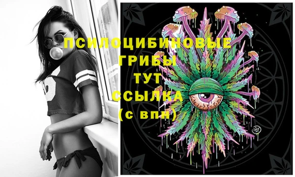 амф Гусиноозёрск