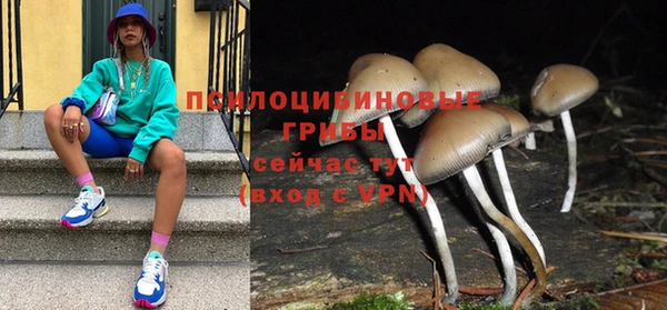 каннабис Гусев