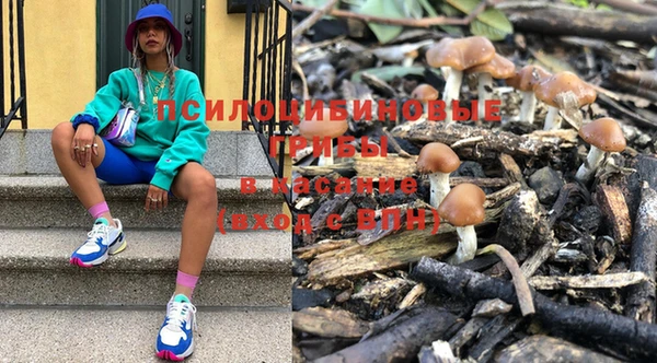 соль курить ск Гусь-Хрустальный
