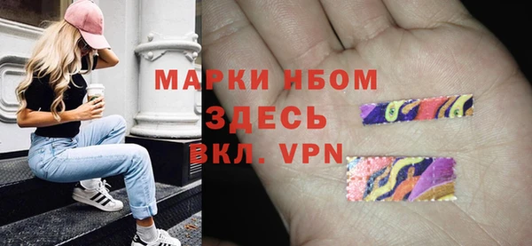 амф Гусиноозёрск